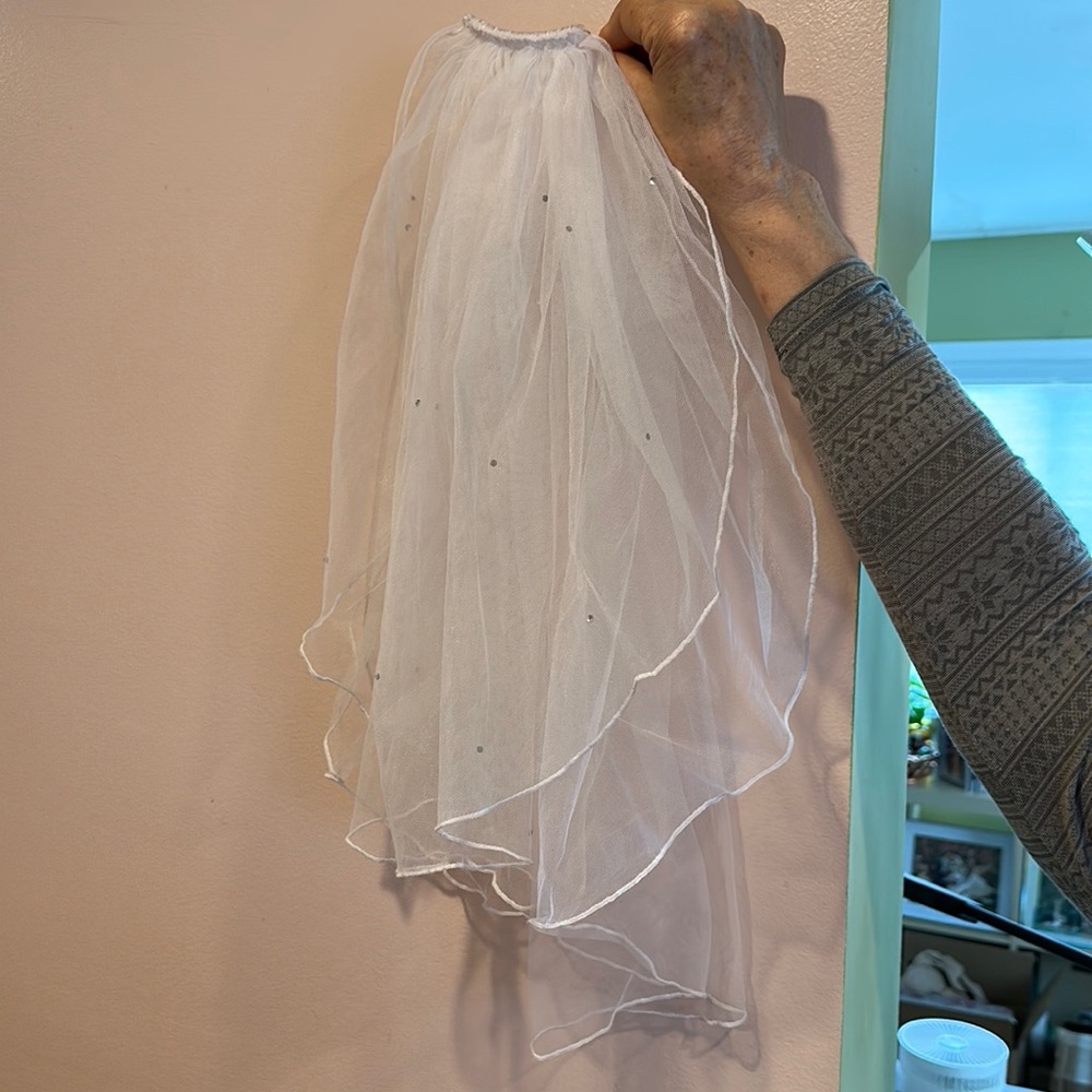 Wedding /communion/ bachelorette veil